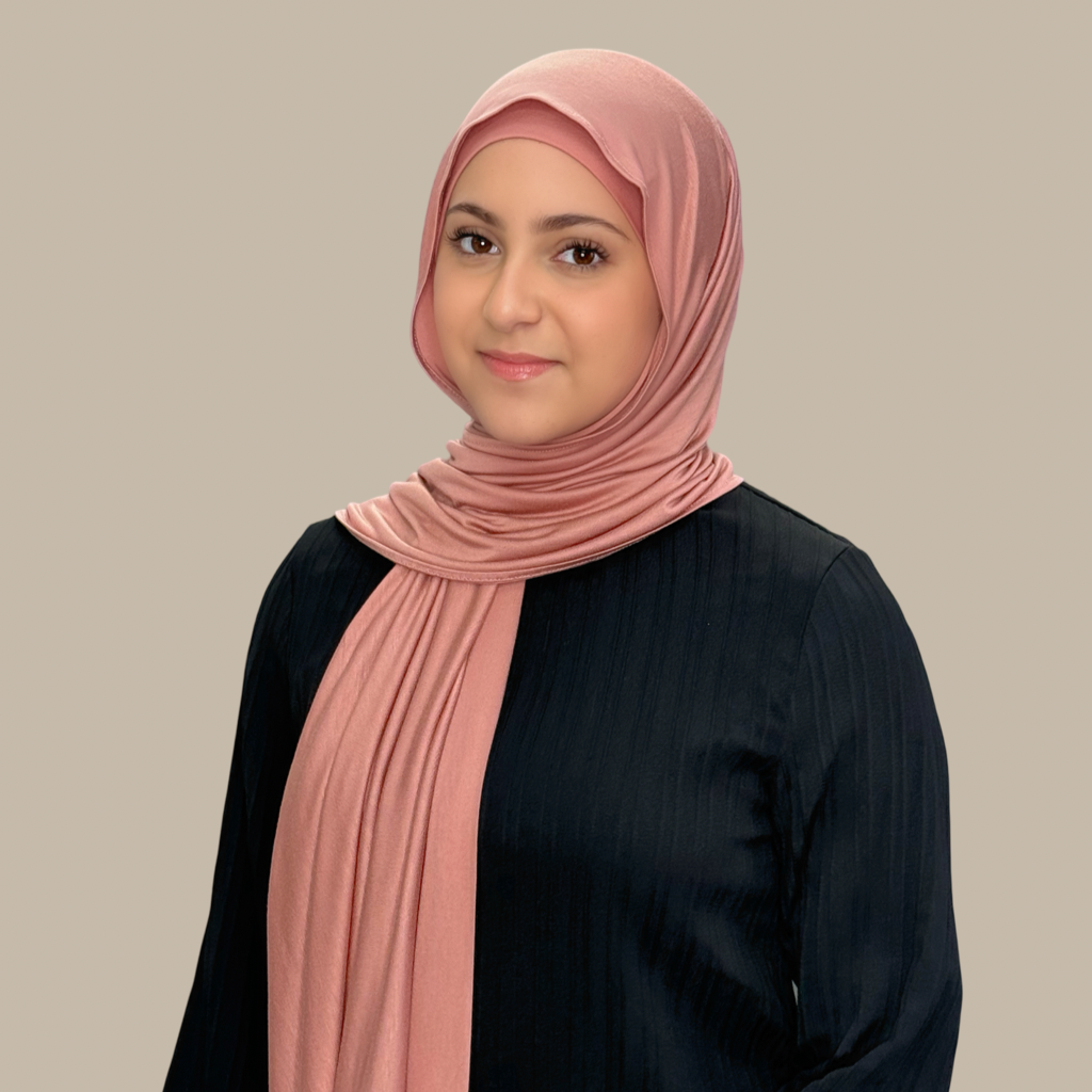 Modish Girl Premium Jersey Hijab-Wood Rose